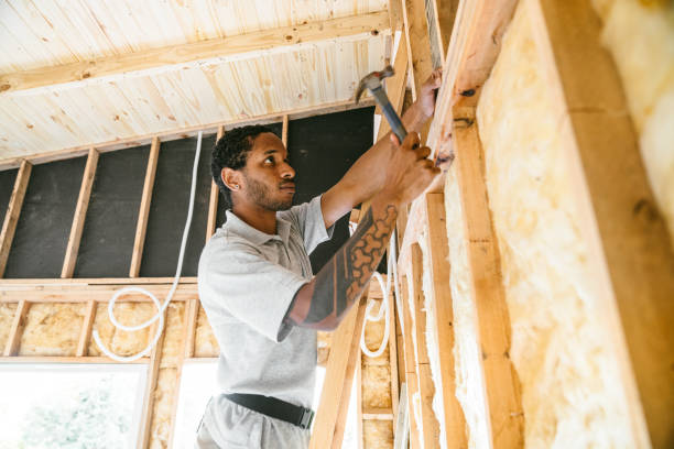 Best Insulation Removal  in Wilkes Barre, PA