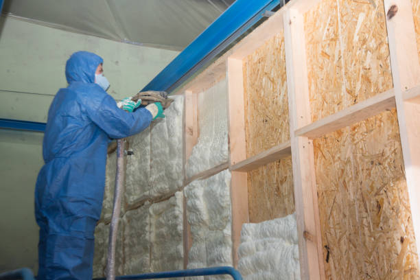 Best Cellulose Insulation  in Wilkes Barre, PA