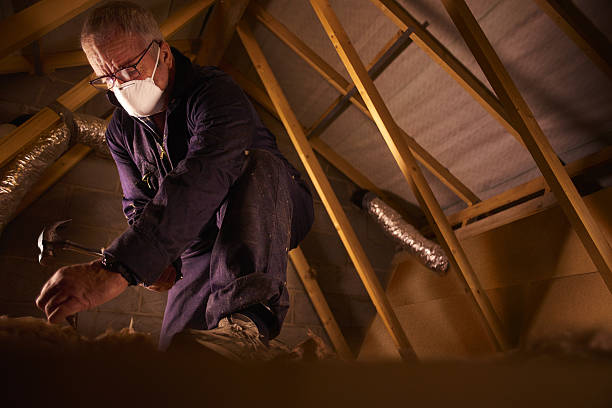 Best Insulation for New Construction  in Wilkes Barre, PA
